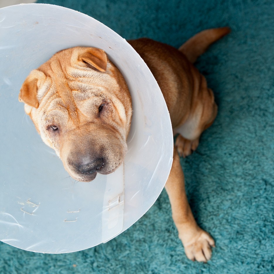 Surgery Fort Smith, AR